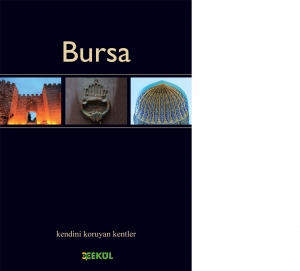 Bursa