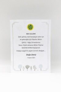  Bebek Şekeri Yerine 7 Ağaç