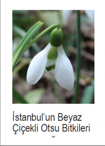  İstanbul’un Doğal Bitkileri