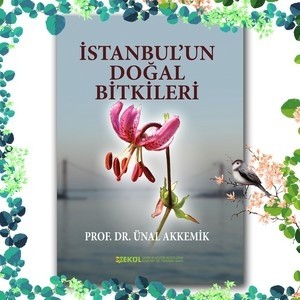  İstanbul’un Doğal Bitkileri